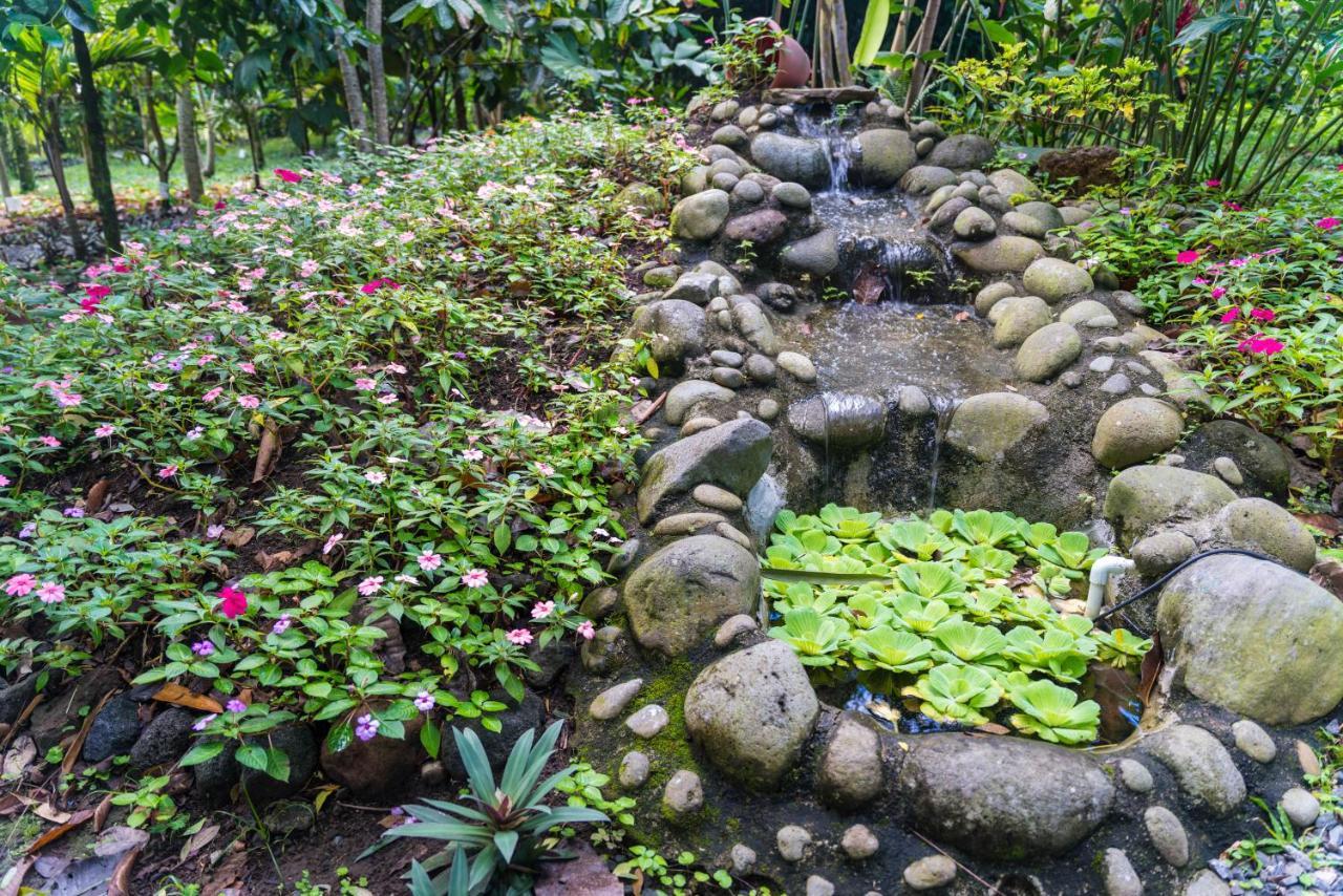 Hotel Vista Del Cerro La Fortuna Exteriér fotografie